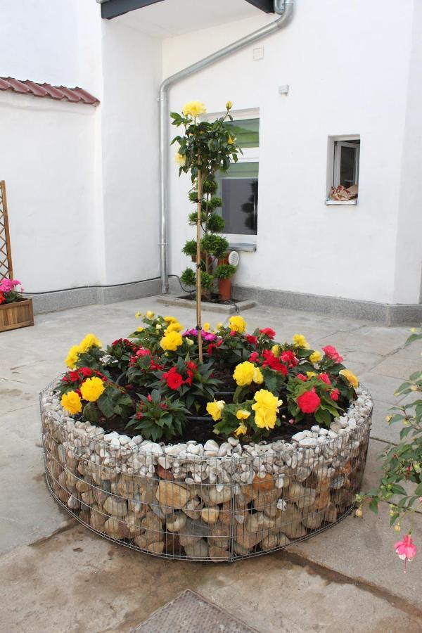 Pension Budissin Bautzen Extérieur photo